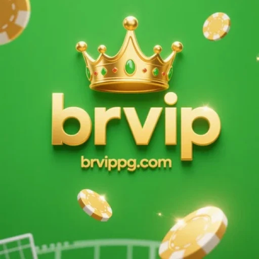 Logo brvip